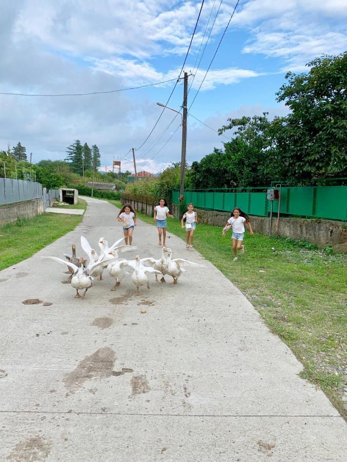 Tskaltubo Village - Nature Resort Екстериор снимка
